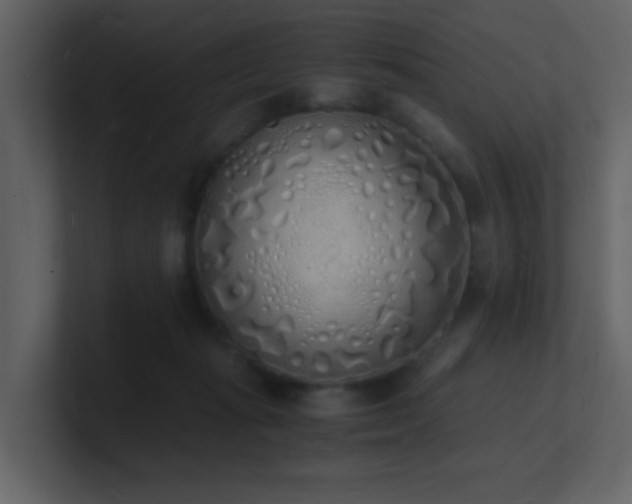 X0000101670269200807101407