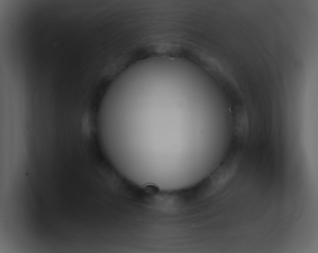 X0000101670272200807101407