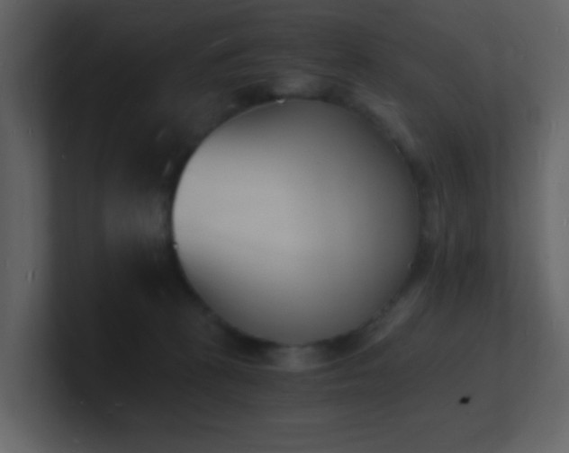 X0000101670273200807101407
