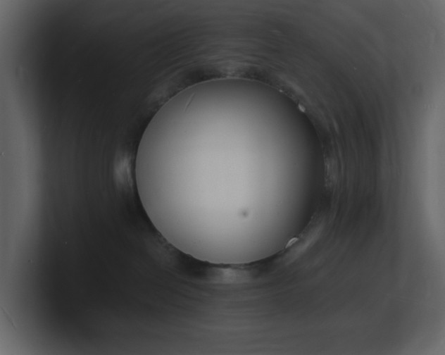 X0000101670286200807101407