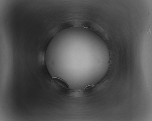 X0000101670288200807101407