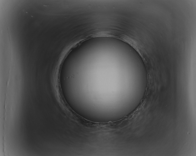 X0000101670289200807101406