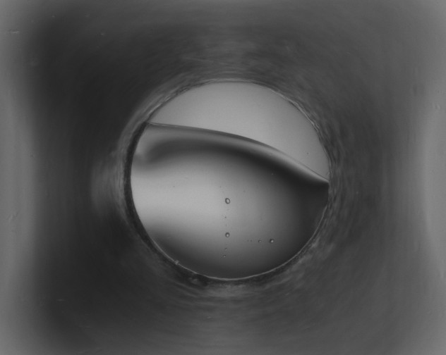 X0000101670293200807101406