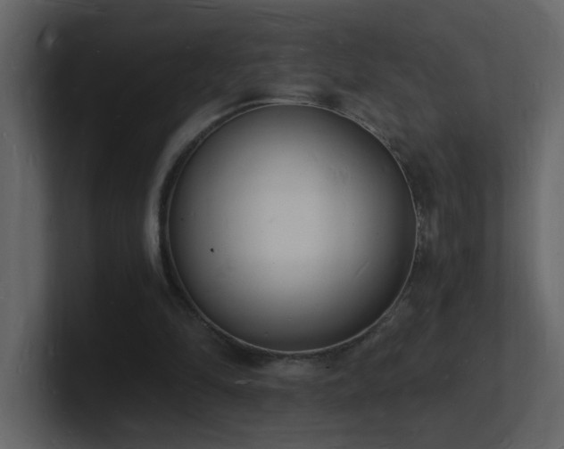X0000101670294200807101406