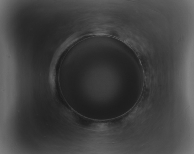 X0000101670295200807101406