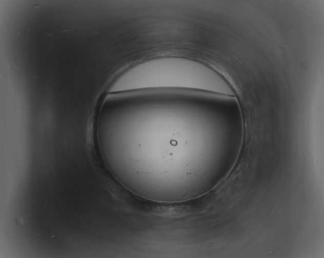 X0000101670297200807101406