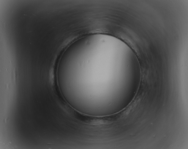 X0000101670298200807101406