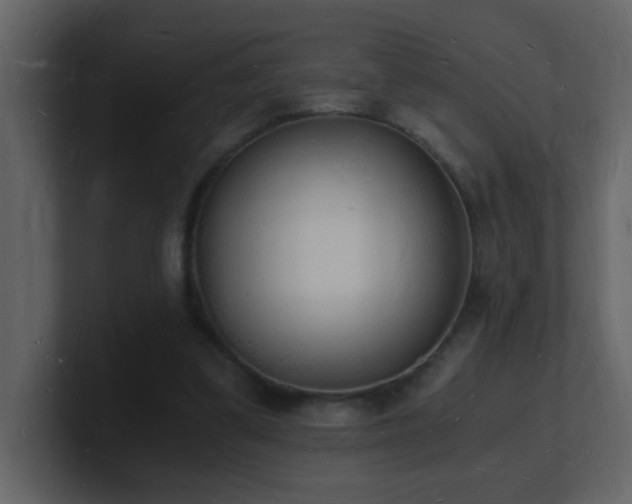 X0000101670299200807101406