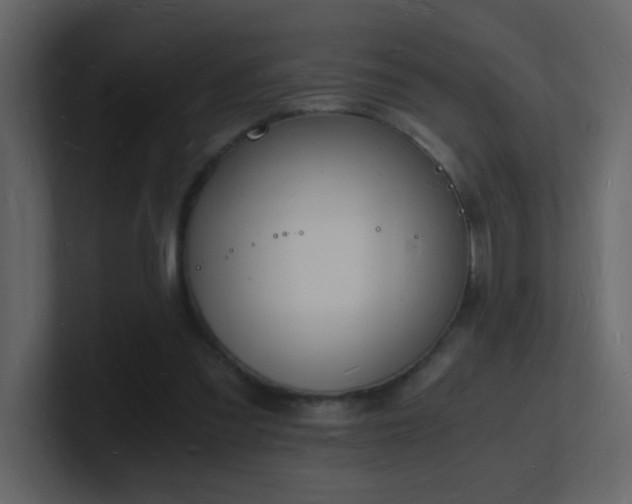 X0000101670301200807101406