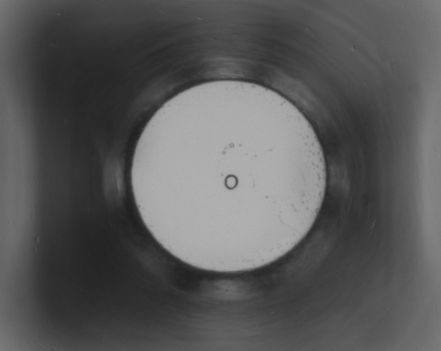 X0000101670302200807101406
