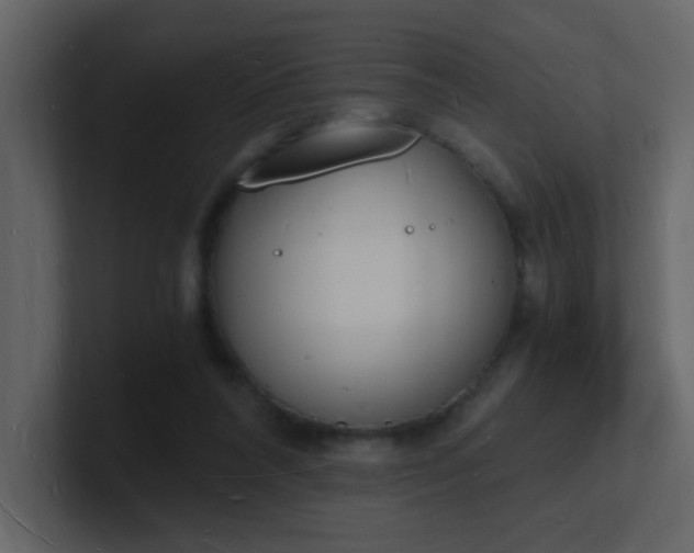 X0000101670304200807101406