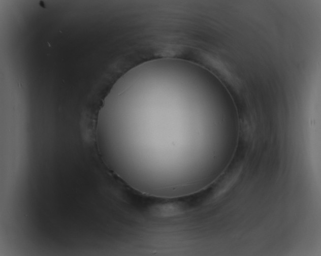 X0000101670307200807101406