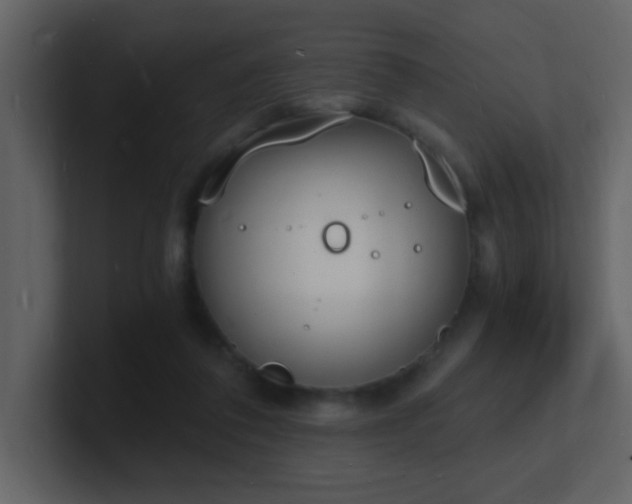 X0000101670308200807101406