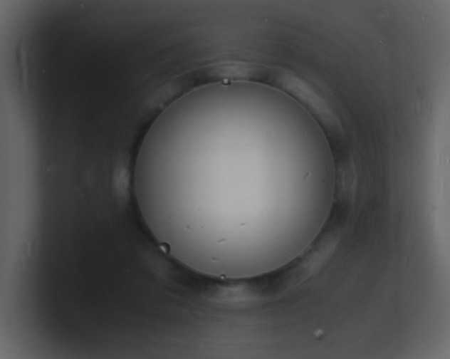 X0000101670309200807101406