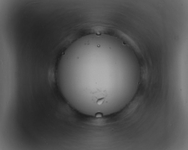 X0000101670313200807101406