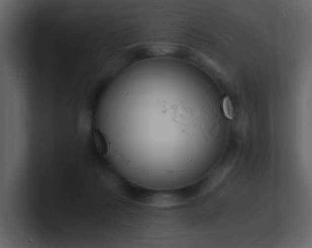 X0000101670315200807101406