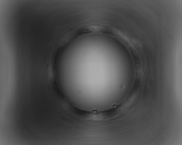 X0000101670317200807101406
