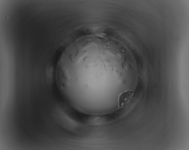 X0000101670319200807101406