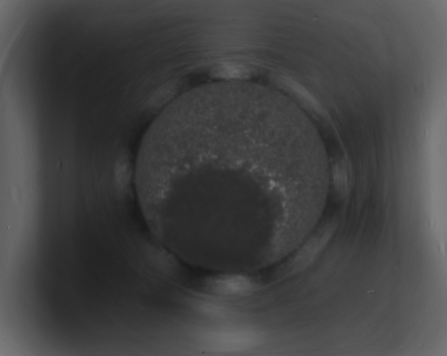 X0000101670322200807101406
