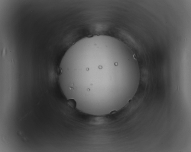 X0000101670324200807101406