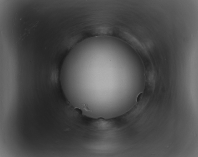 X0000101670326200807101406