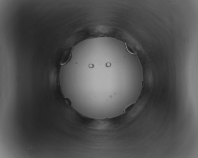 X0000101670328200807101405