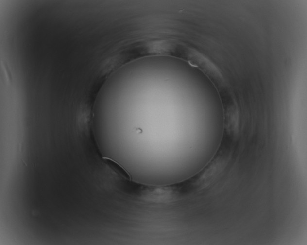 X0000101670329200807101405