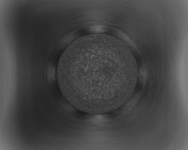 X0000101670330200807101405