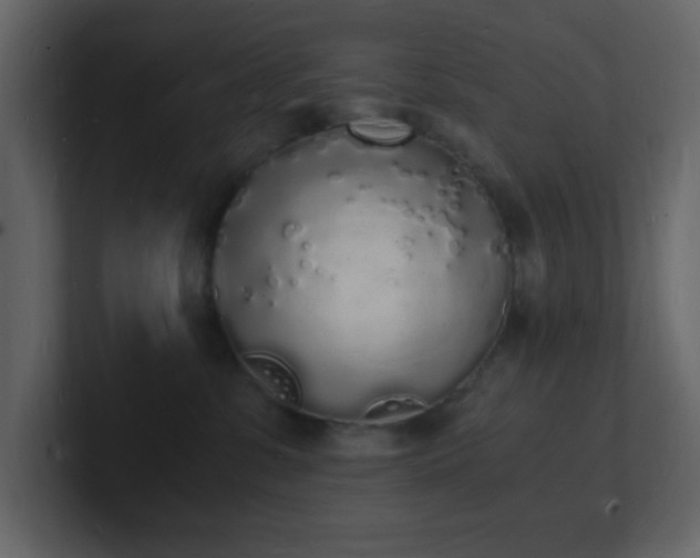 X0000101670331200807101405