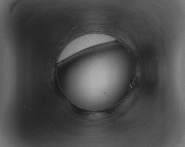 X0000101670332200807101405