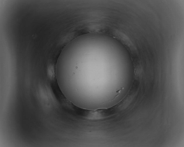 X0000101670335200807101405