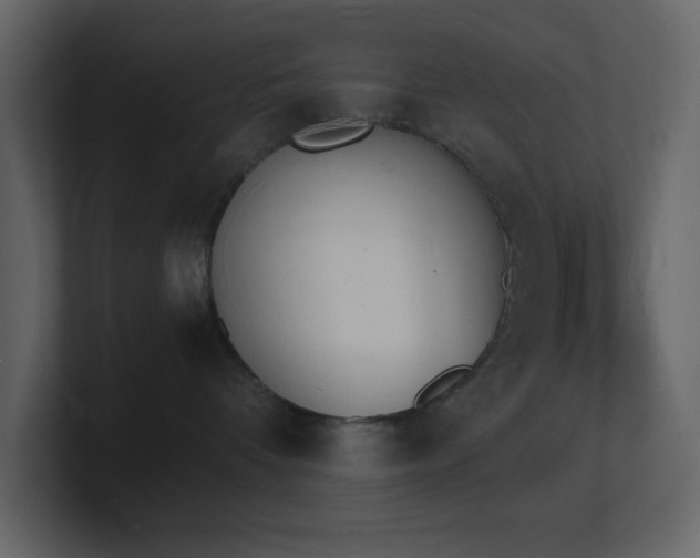 X0000101670336200807101405