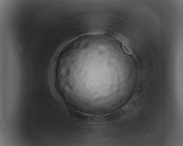 X0000101670337200807101405