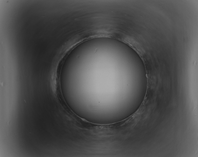 X0000101670338200807101405