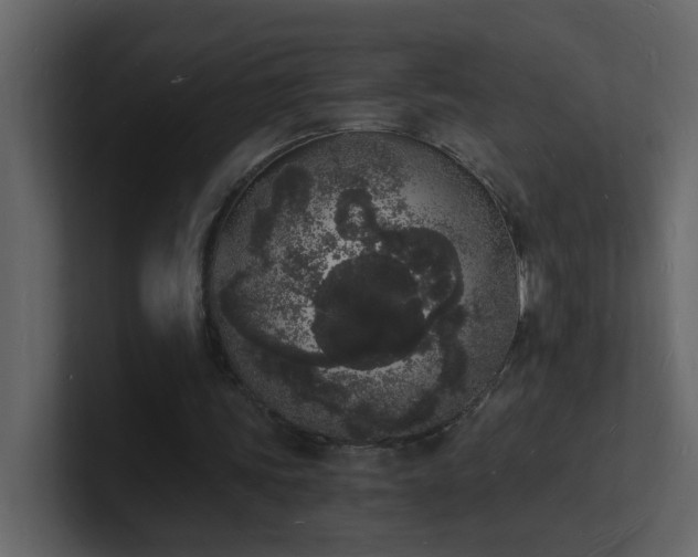 X0000101670339200807101405