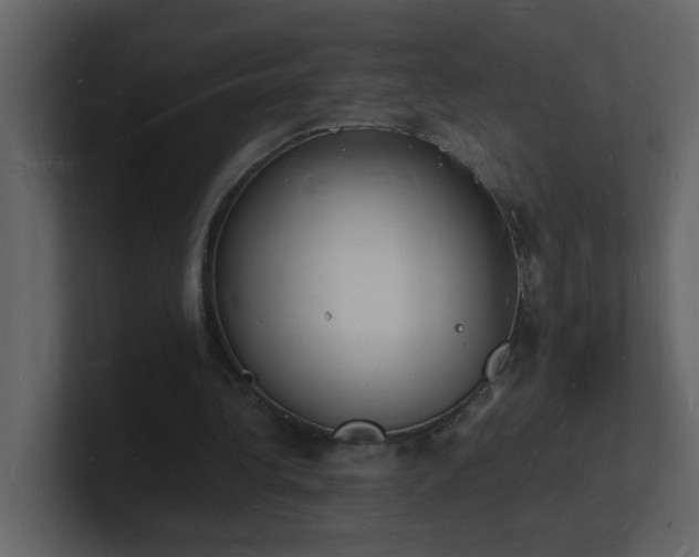 X0000101670340200807101405