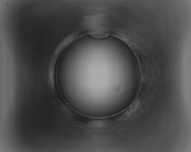 X0000101670341200807101405