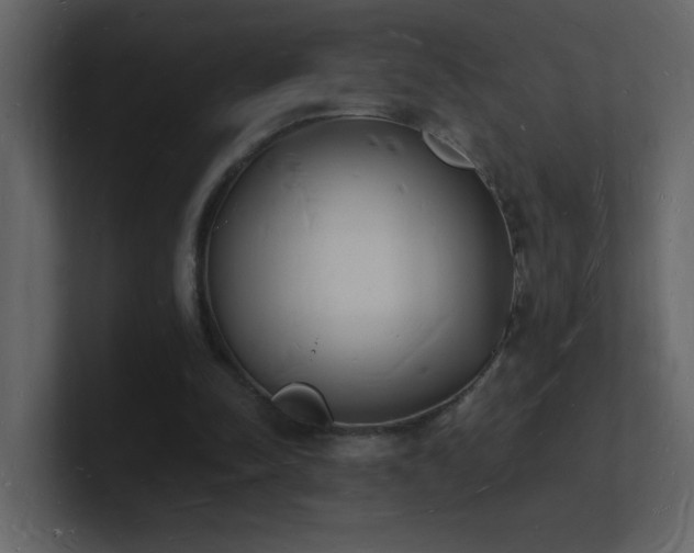 X0000101670342200807101405