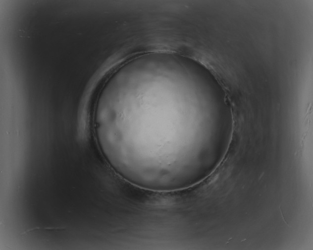 X0000101670343200807101405
