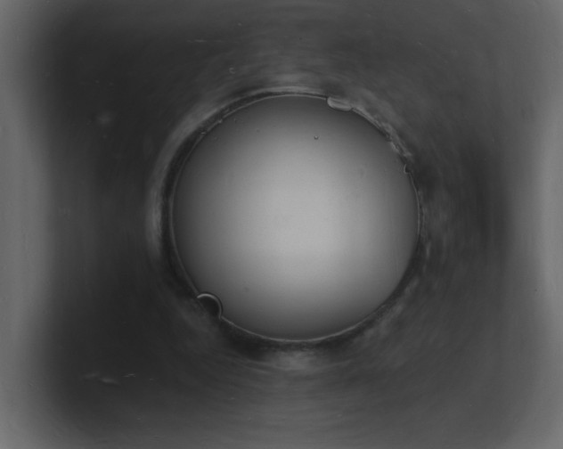 X0000101670344200807101405