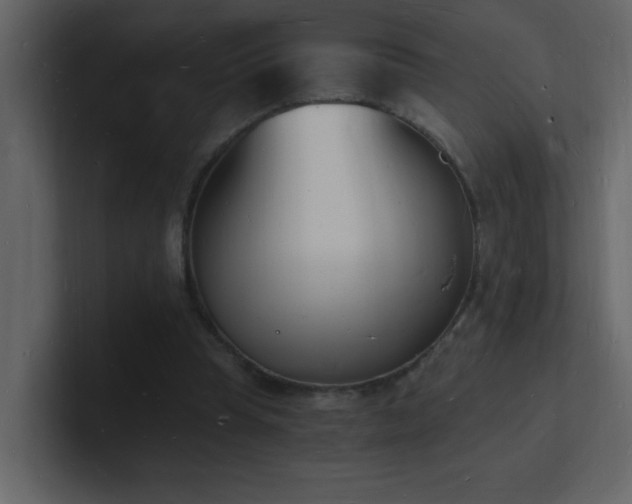 X0000101670345200807101405