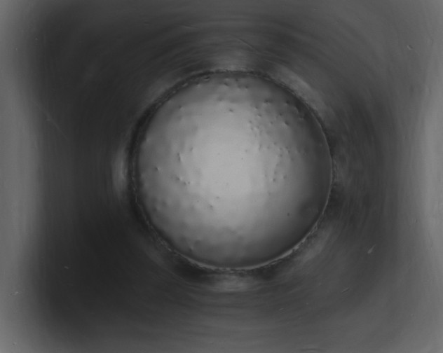 X0000101670347200807101405