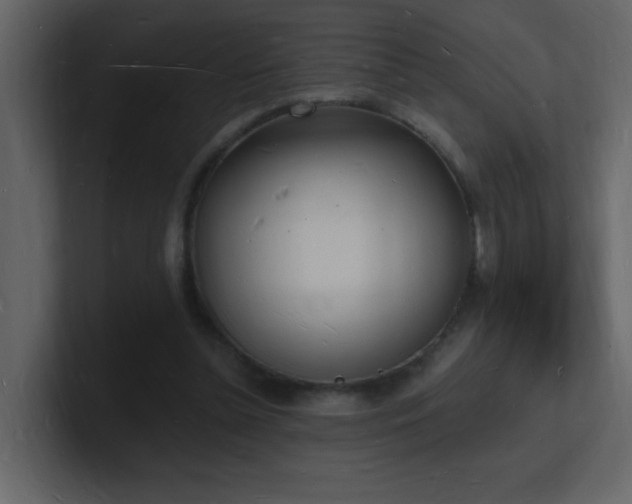 X0000101670348200807101405