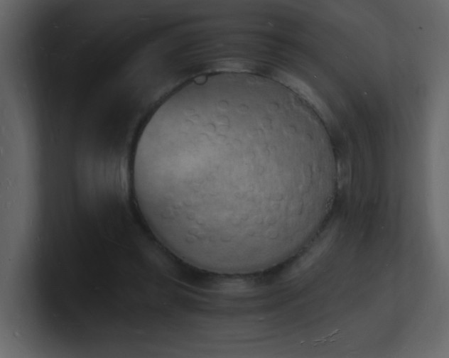 X0000101670349200807101405