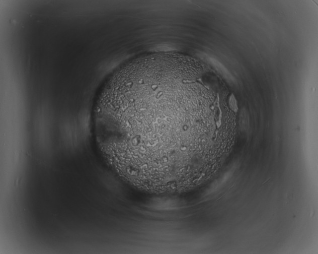 X0000101670351200807101405