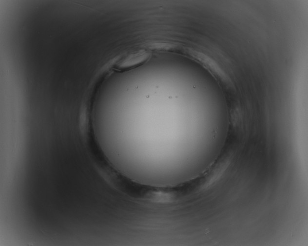X0000101670352200807101405