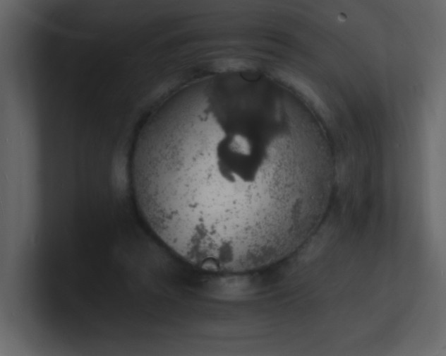 X0000101670353200807101405