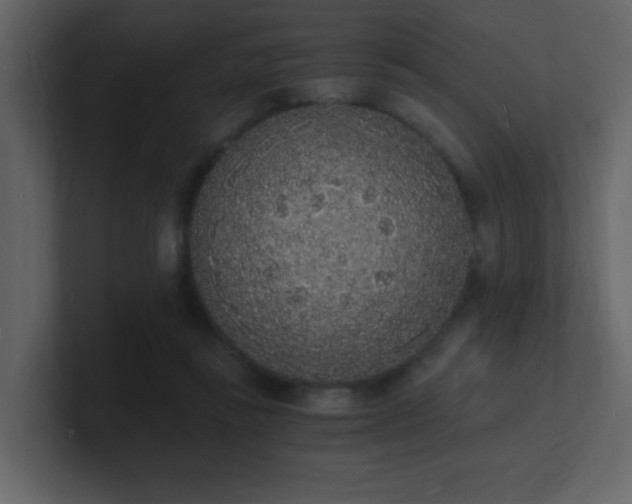 X0000101670355200807101405