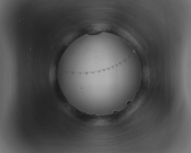 X0000101670356200807101405