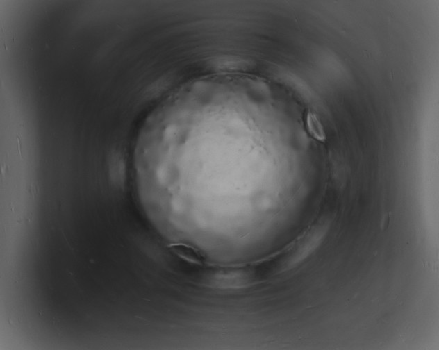 X0000101670357200807101405